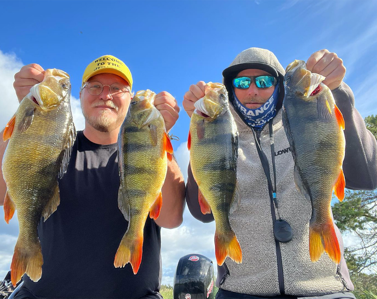 Renz Beastly Stripe MB Multi Combo